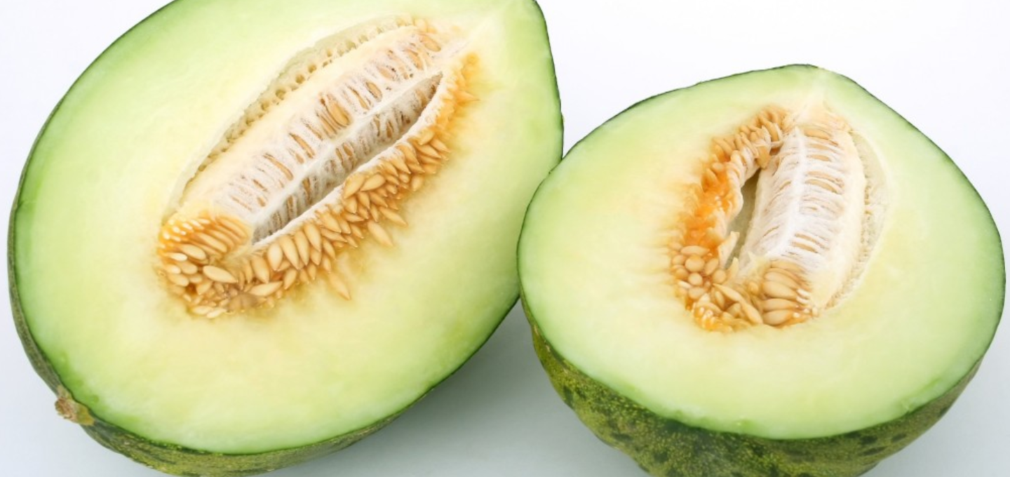 El melón y sus propiedades