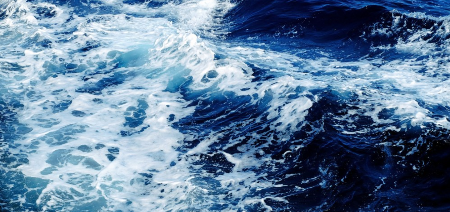 El poder del agua de mar. ¿Isotónica o hipertónica?