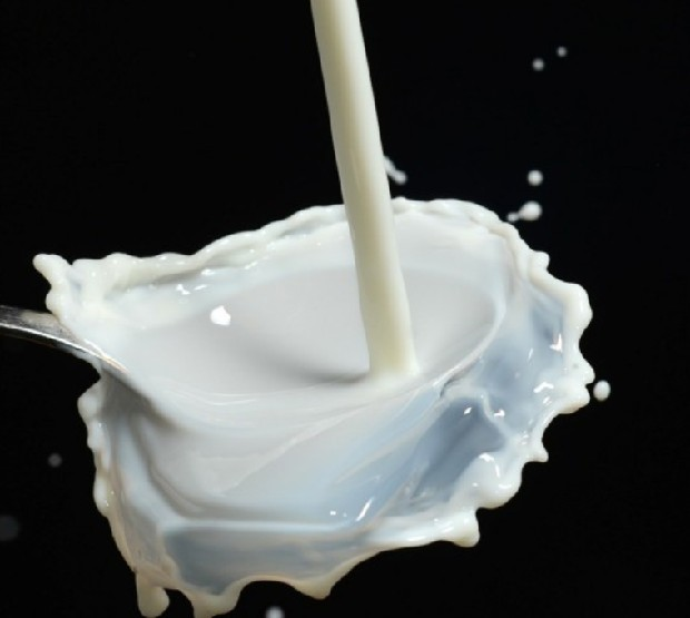 Review of the book Milk that you have not to drink by David Ramón