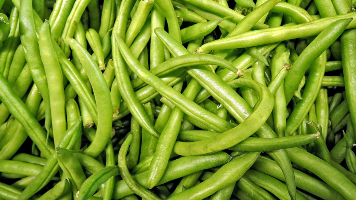 Judías verdes, un vegetal con gran capacidad antioxidante