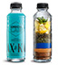 Kombucha Blue Mojito