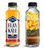 *New* Kombucha Orange Fantasy