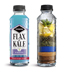 Kombucha Blue Mojito